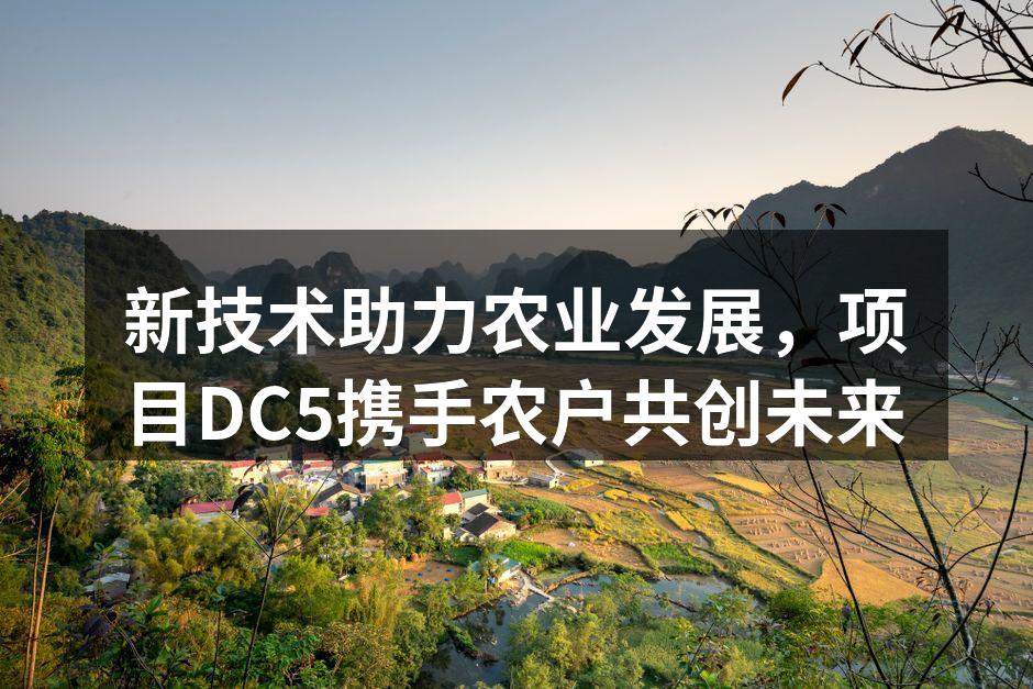 新技术助力农业发展，项目DC5携手农户共创未来