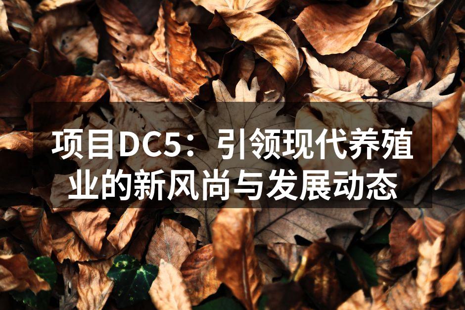 项目DC5：引领现代养殖业的新风尚与发展动态